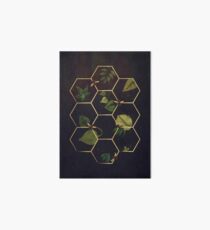 Lámina rígida Abejas en el espacio