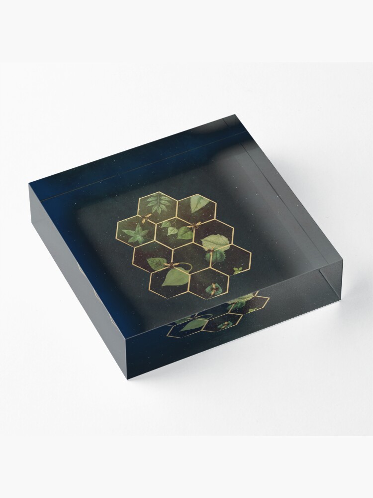 Alternate view of Bees in Space Acrylic Block