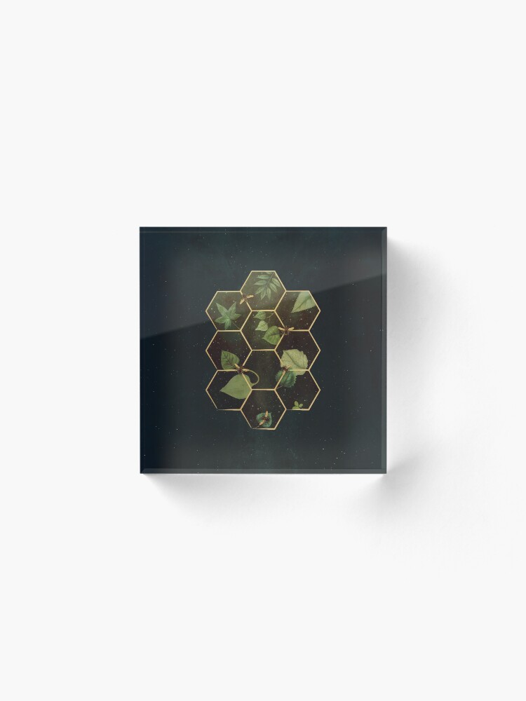 Alternate view of Bees in Space Acrylic Block
