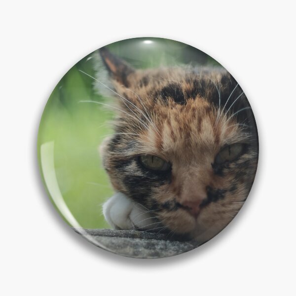 Item preview, Little Cat designed and sold by Excelsior--.