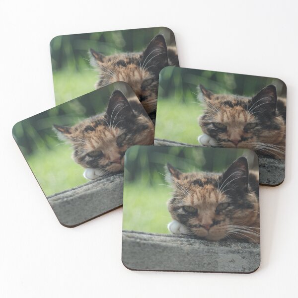 Item preview, Little Cat designed and sold by Excelsior--.