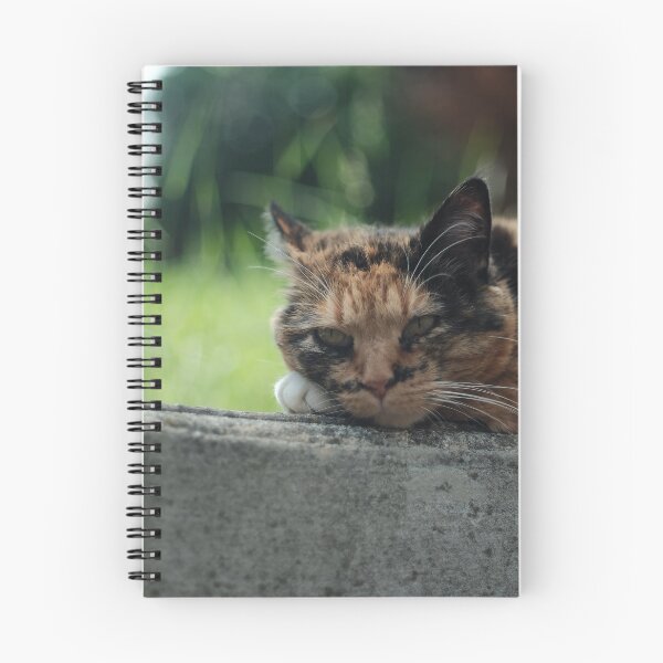 Item preview, Little Cat designed and sold by Excelsior--.