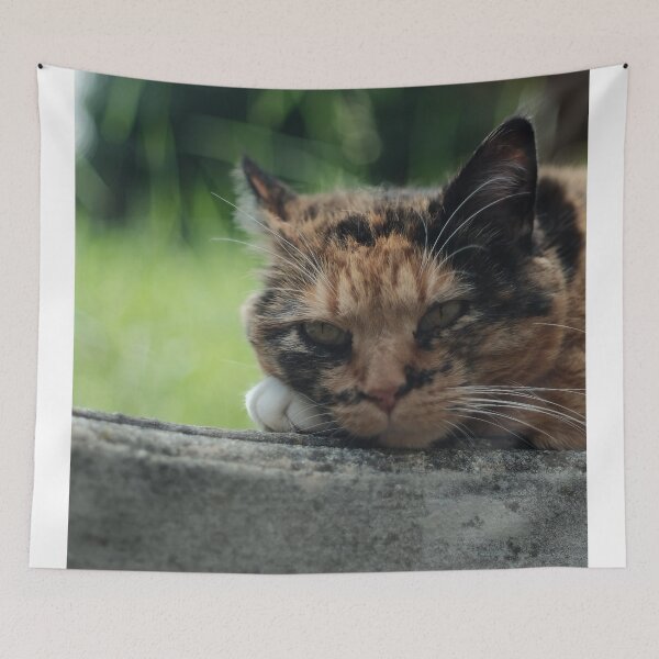 Item preview, Little Cat designed and sold by Excelsior--.