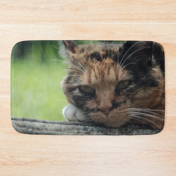 Item preview, Little Cat designed and sold by Excelsior--.