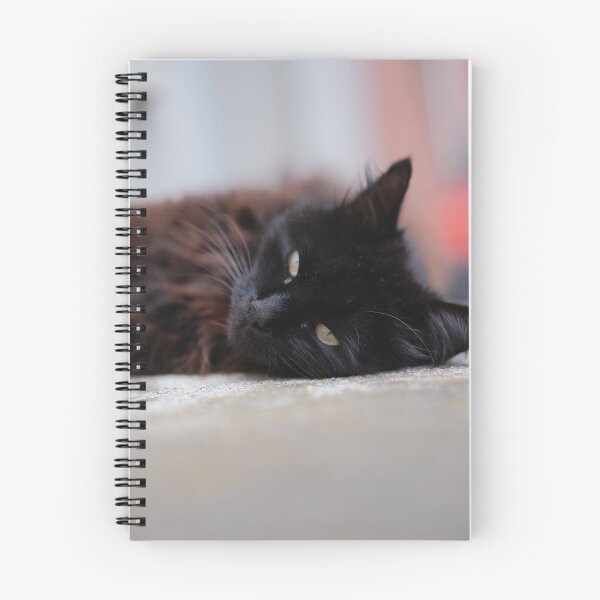 Item preview, Little Cat designed and sold by Excelsior--.