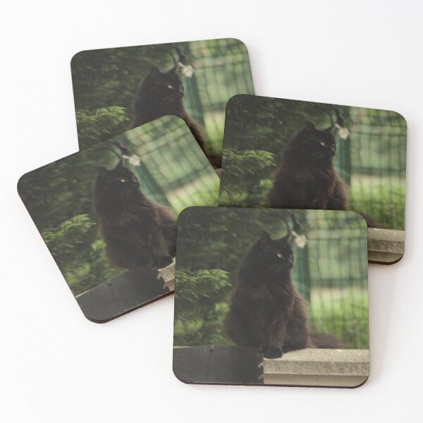 Item preview, Kira designed and sold by Excelsior--.
