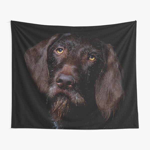 German Wirehaired Pointer Portrait Tapestry