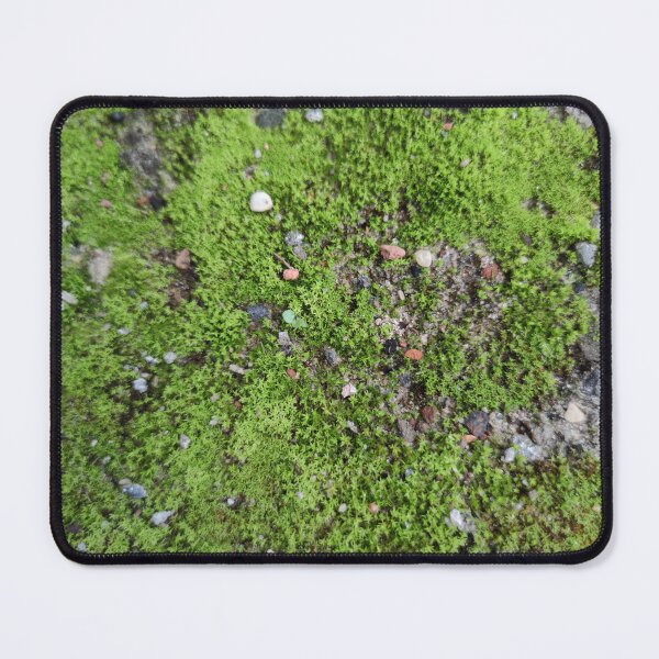 Item preview, Moss grows anywhere, the true invincible plant, frugal and everlasting designed and sold by tshuki.