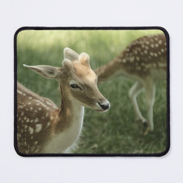Item preview, Cutie Deer designed and sold by Excelsior--.