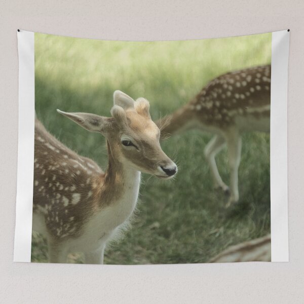 Item preview, Cutie Deer designed and sold by Excelsior--.