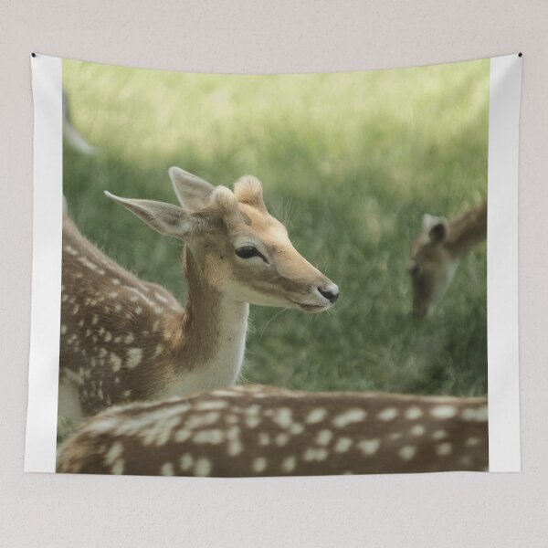 Item preview, Cutie Deer designed and sold by Excelsior--.