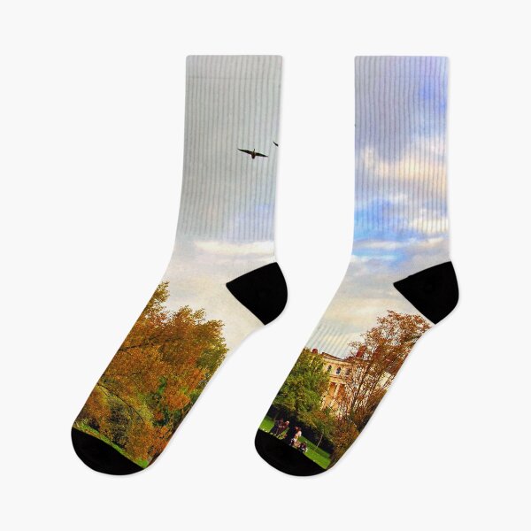 Item preview, Autumn Trees Regent's Park London England designed and sold by AndyEvansPhotos.