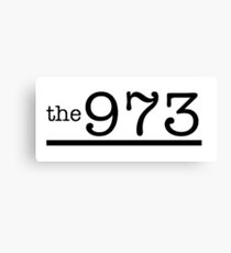 973 Canvas Print