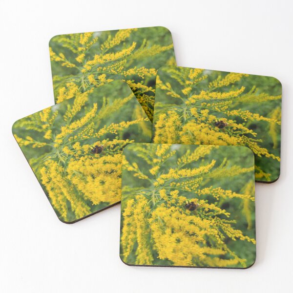 Item preview, Bumblebee in gold shower - that's how we call these flowers in latvian designed and sold by tshuki.