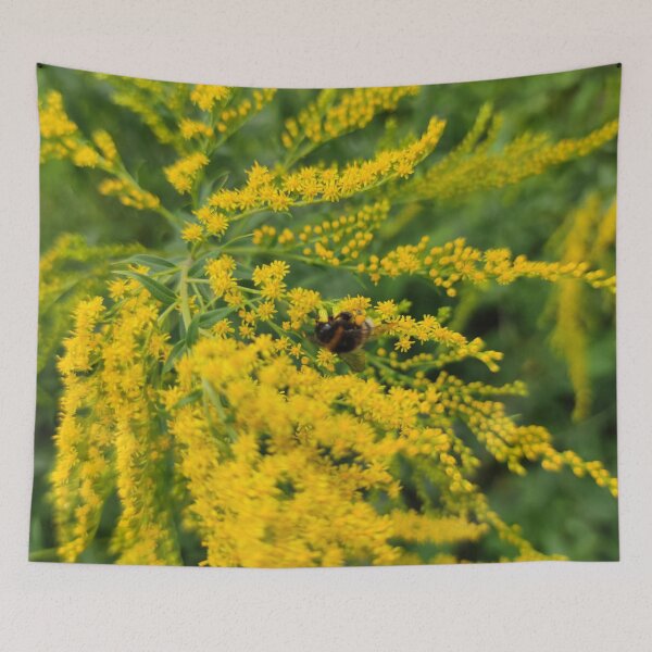 Item preview, Bumblebee in gold shower - that's how we call these flowers in latvian designed and sold by tshuki.