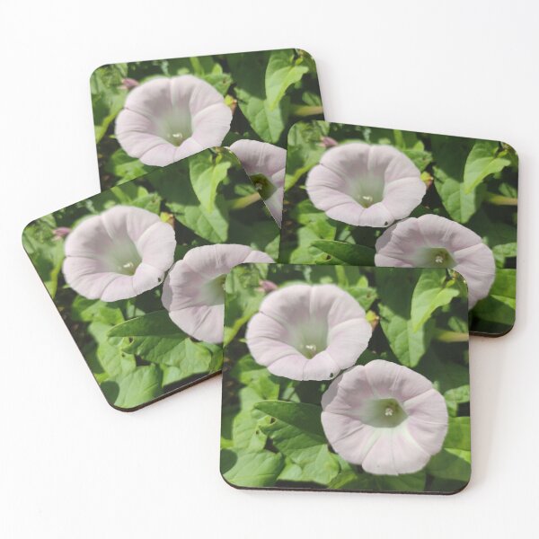 Item preview, A pair of sister pink morning glories  designed and sold by tshuki.