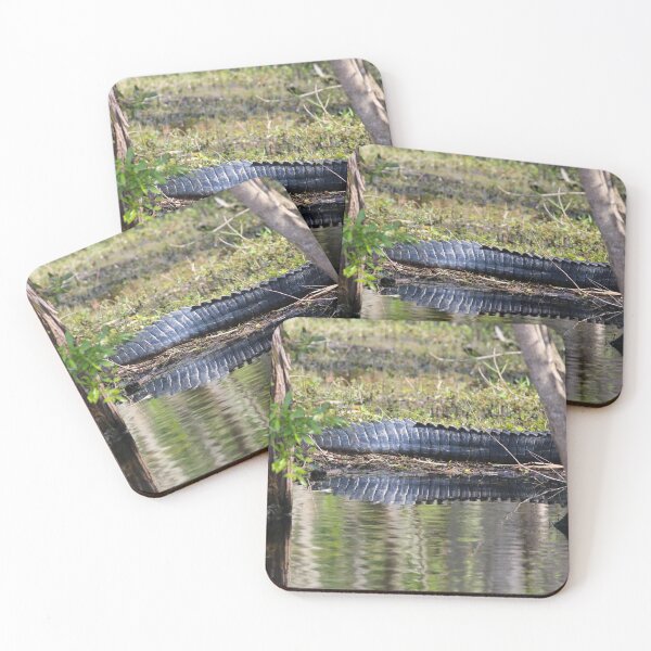Item preview, Hidden Encounters designed and sold by Michiale.