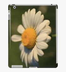 Cheerful iPad Case/Skin