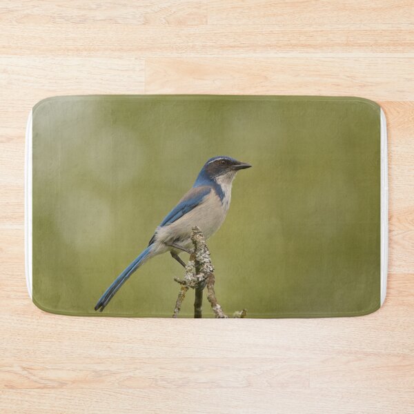 Item preview, California Scrub-jay perched on a tree branch designed and sold by Birdmanphotos.