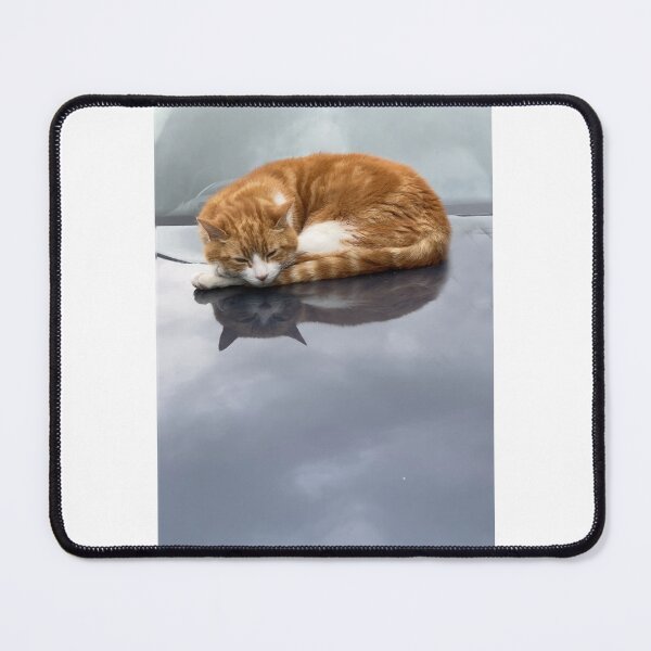 Item preview, Cat on a hot tin roof designed and sold by Paddyb17.