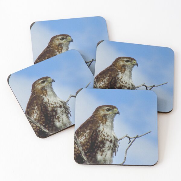 Item preview, Red-Tailed Hawk designed and sold by RogueLeaderT65B.