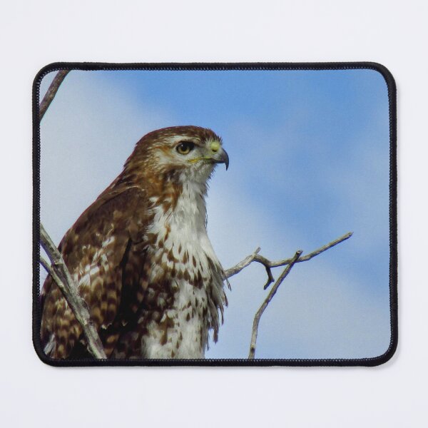 Item preview, Red-Tailed Hawk designed and sold by RogueLeaderT65B.