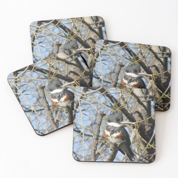 Item preview, Belted Kingfisher designed and sold by RogueLeaderT65B.