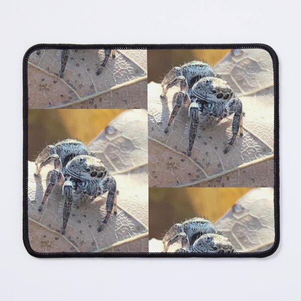 Item preview, Autumn Spider designed and sold by Pisces-Pics.