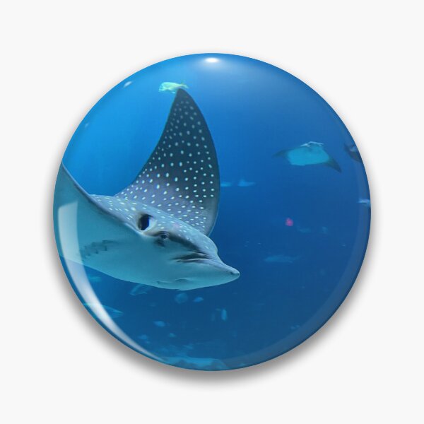 Item preview, Eagle Ray in Flight designed and sold by Pisces-Pics.