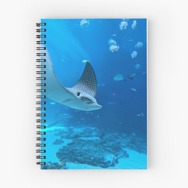 Item preview, Eagle Ray in Flight designed and sold by Pisces-Pics.