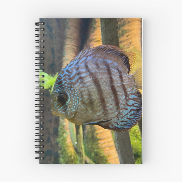 Item preview, Discus Fish designed and sold by Pisces-Pics.