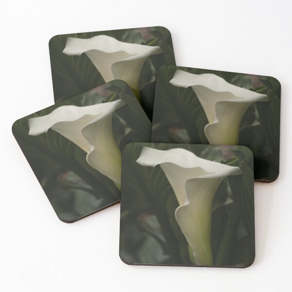 Item preview, Calla lily in perfect harmony designed and sold by Abel-momo.