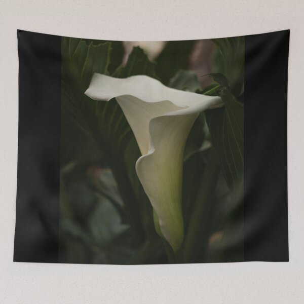Item preview, Calla lily in perfect harmony designed and sold by Abel-momo.