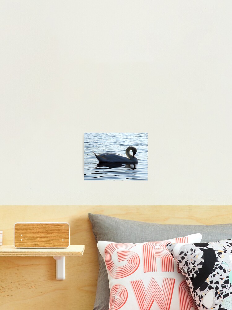 Thumbnail 2 von 3, Fotodruck, Swan Lake designt und verkauft von seancrease.