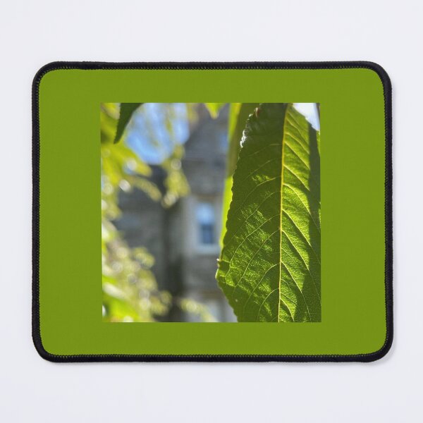 Item preview, Bryn Mawr Foliage designed and sold by Pisces-Pics.