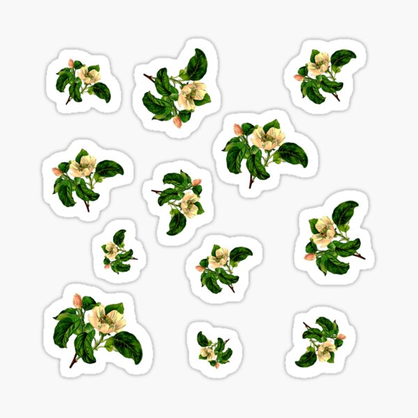 Small Nature Stickers Small Flower Stickers Botanical Stickers Aesthetic  Planner Sticker Nature Club Sticker Mini Leaf Stickers 