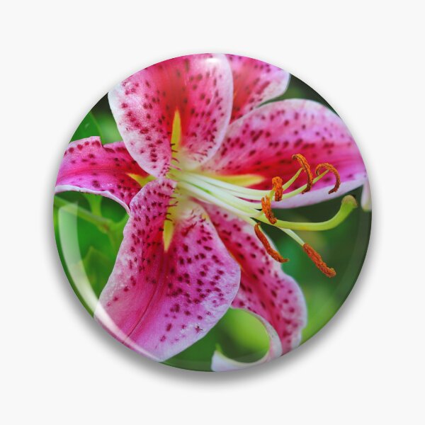 Item preview, Stargazer Lily Ruby Color designed and sold by BostonArcImage.