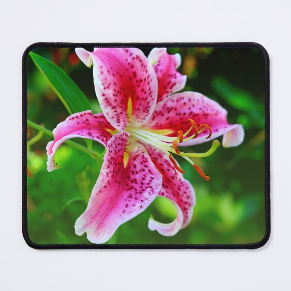 Item preview, Stargazer Lily Ruby Color designed and sold by BostonArcImage.