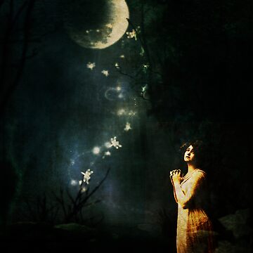 Artwork thumbnail, Moonlit Night by Pamela Bates