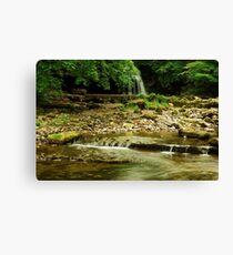 BURTON FALLS Canvas Print