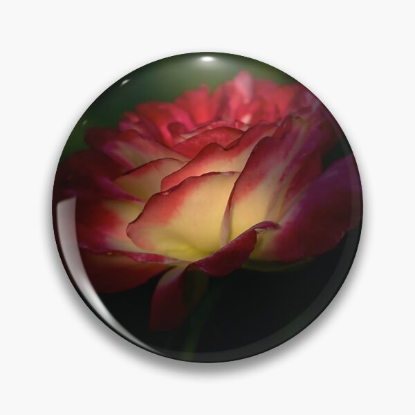 Item preview, The Secret of Life (See Artists Notes) designed and sold by Adam Bykowski.