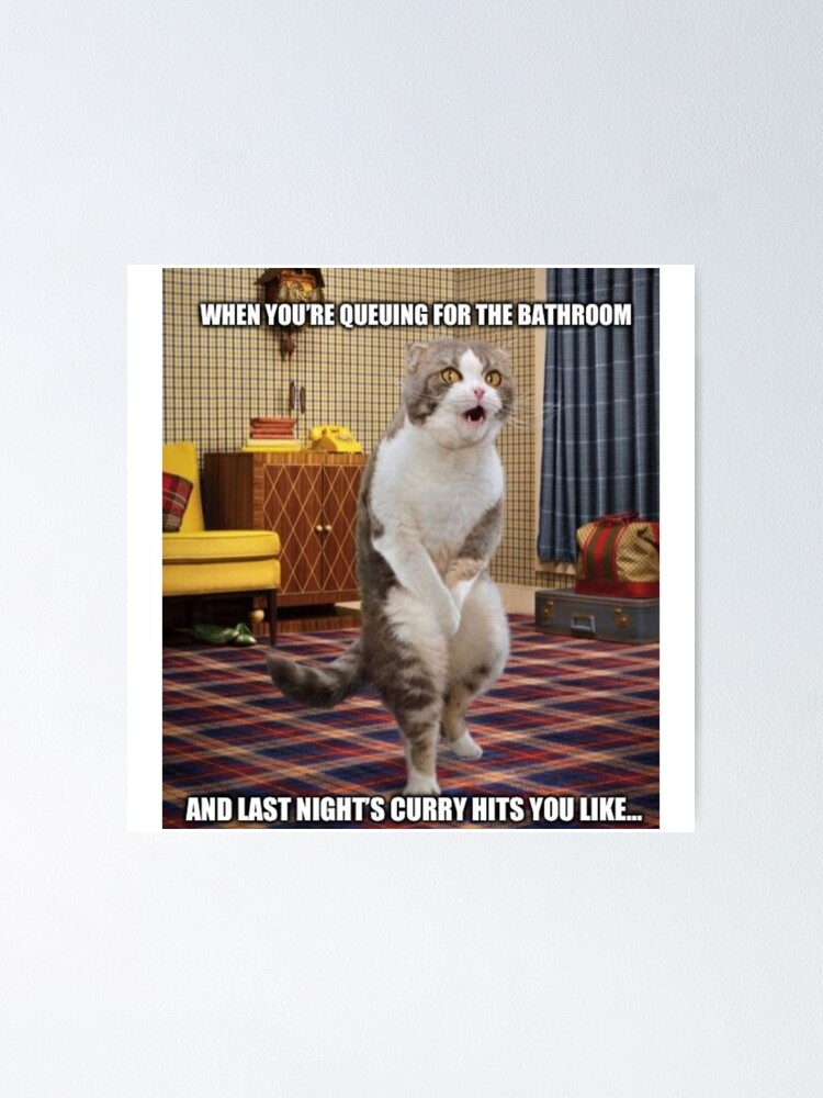 Cats don't care if you are crazy, cat meme, ORIGINAL Willow Days | Poster
