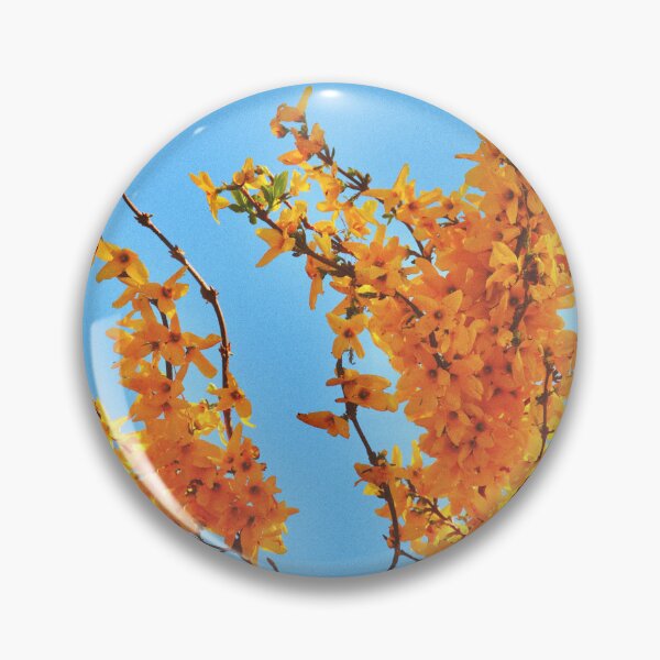 Item preview, Forsythia designed and sold by Tessia Photography.