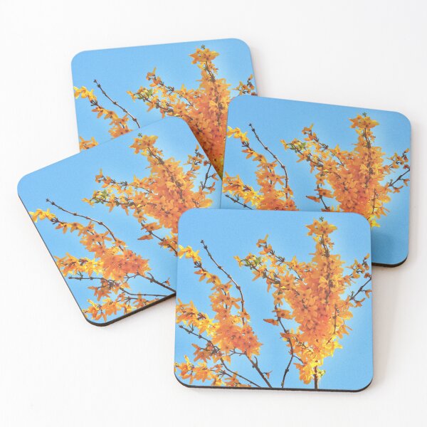 Item preview, Forsythia designed and sold by Tessia Photography.