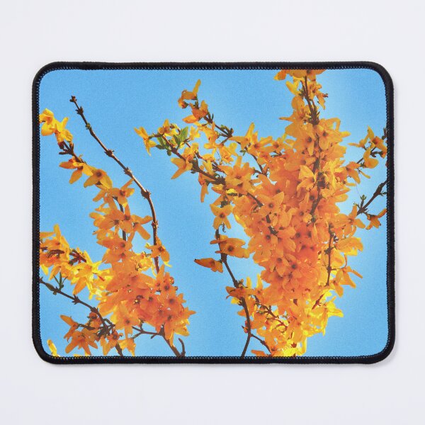 Item preview, Forsythia designed and sold by Tessia Photography.