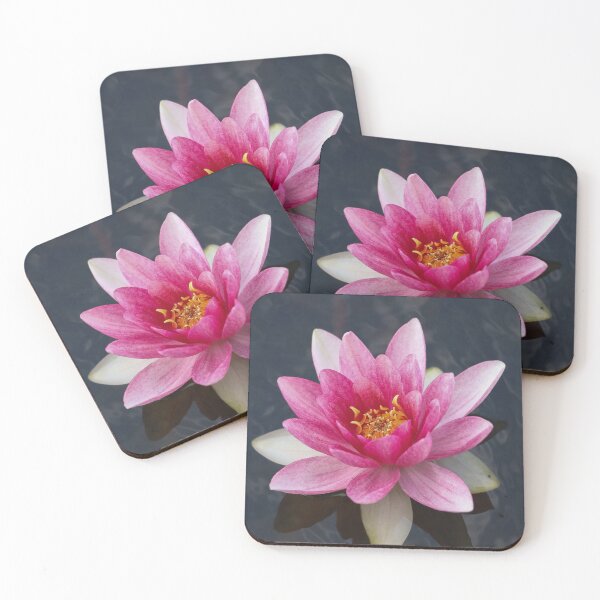 Item preview, Pink water Lilly - Lotus flower floral print designed and sold by Kate1art.