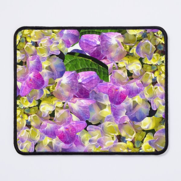 Item preview, Vivid and bright hydrangeas designed and sold by Susan Gallup.