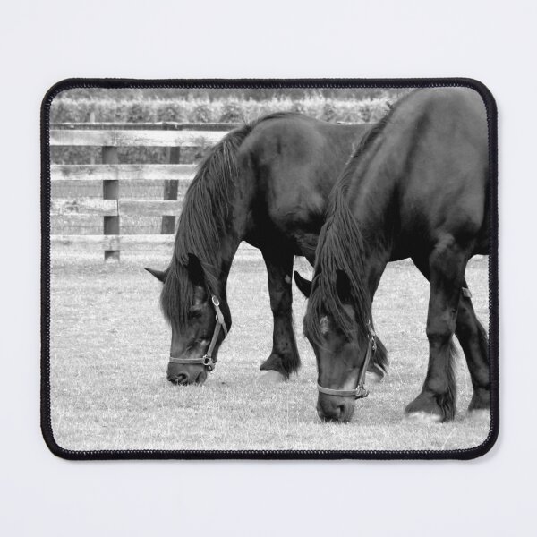 Item preview, Grazing designed and sold by AGODIPhoto.