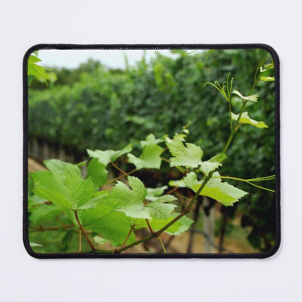Artikelvorschau, Grape Leaves entworfen und verkauft von AGODIPhoto.