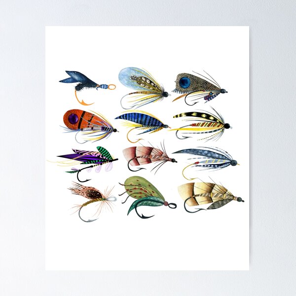 Trout Flies - Fly Fishing Poster for Sale by Rich Summers Art